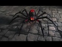 youtube - [Video]