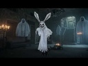 youtube - [Video]