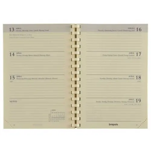 BREPOLS AGENDA VULLING DELTA 8.1X12CM