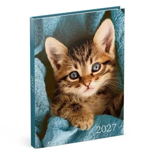 LANNOO AGENDA 2027 MY FAVOURITE FRIENDS KAT BLAUW