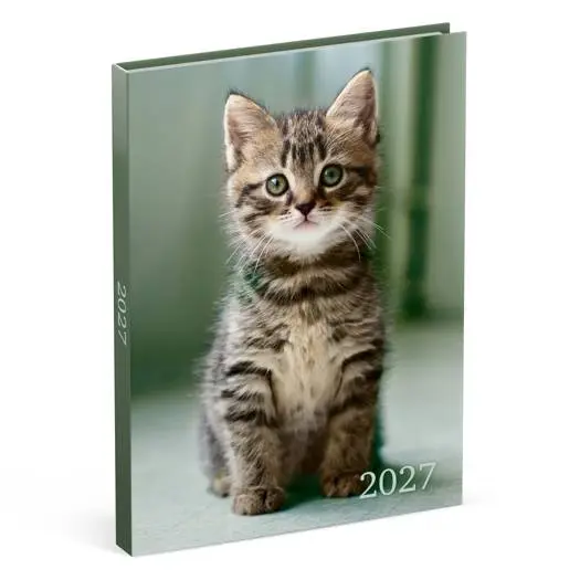 LANNOO AGENDA 2027 MY FAVOURITE FRIENDS KAT GROEN