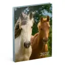 LANNOO AGENDA 2027 MY FAVOURITE FRIENDS PAARD