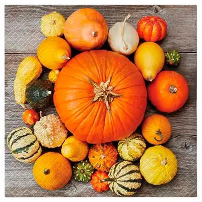 PAW SERVIETTEN 33X33CM S/20 PUMPKIN COMPOSITION