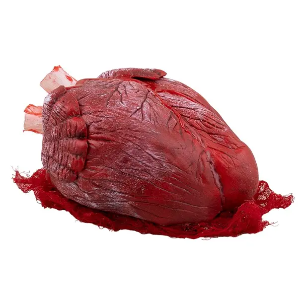 HALLO. FF KLOPPEND BLOEDERIG HART M/ANIMATIE (EX.3AAA)