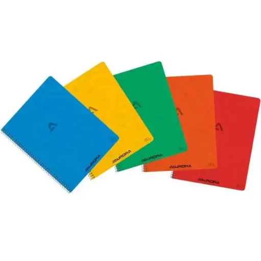 SCHRIFT SPIRAAL KARTON COVER A5 60VEL KLEUR ASS5