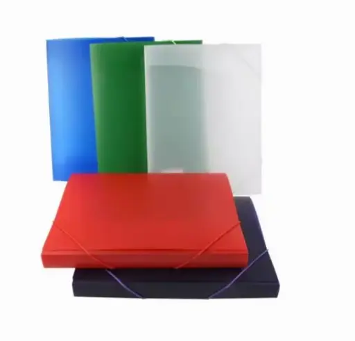 [843250] ELASTOBOX PP A4 25MM POLYPROPYLEEN FROSTY ASS