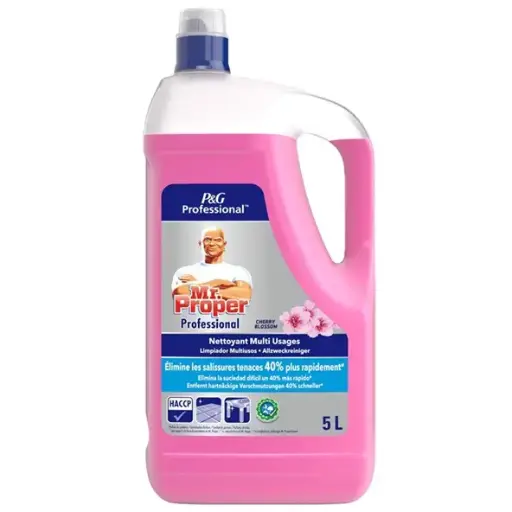 [857977] MR PROPER 5L ALLESREINIGER CHERRY BLOSSOM