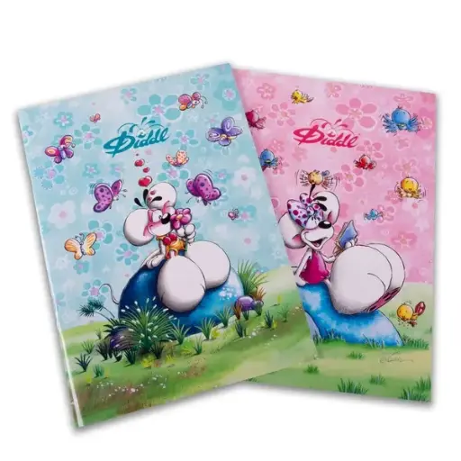 [882527] DIDDL SCHRIFT A4 GELIJND ROZE/BLAUW ASS2
