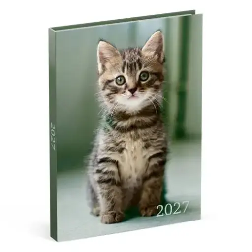 [886355] LANNOO AGENDA 2027 MY FAVOURITE FRIENDS KAT GROEN