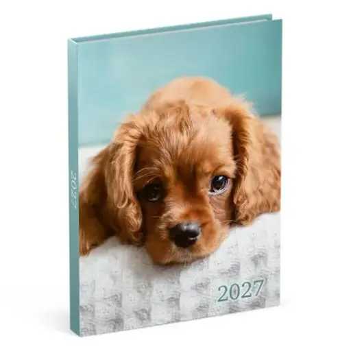 [886366] LANNOO AGENDA 2027 MY FAVOURITE FRIENDS HOND BLAUW
