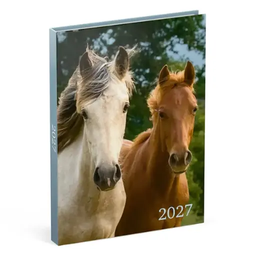 [886390] LANNOO AGENDA 2027 MY FAVOURITE FRIENDS PAARD